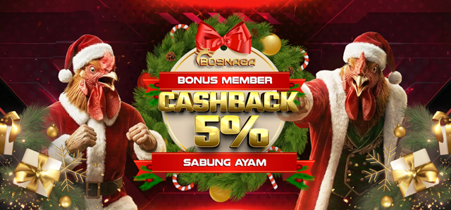 CASHBACK 5% SABUNG AYAM